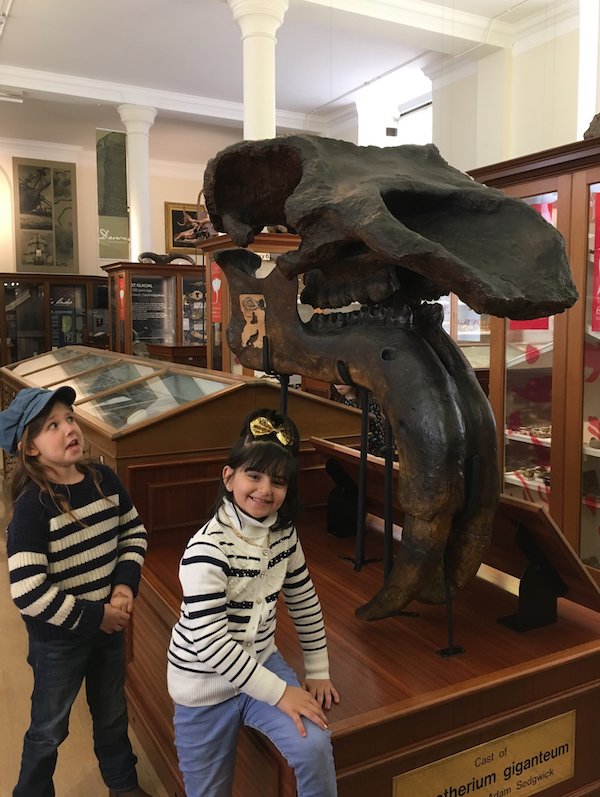 Children visiting the Sedgwick Museum and having a wonderful time